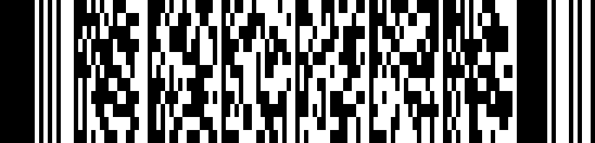 পিডিএফ 417 barcode example